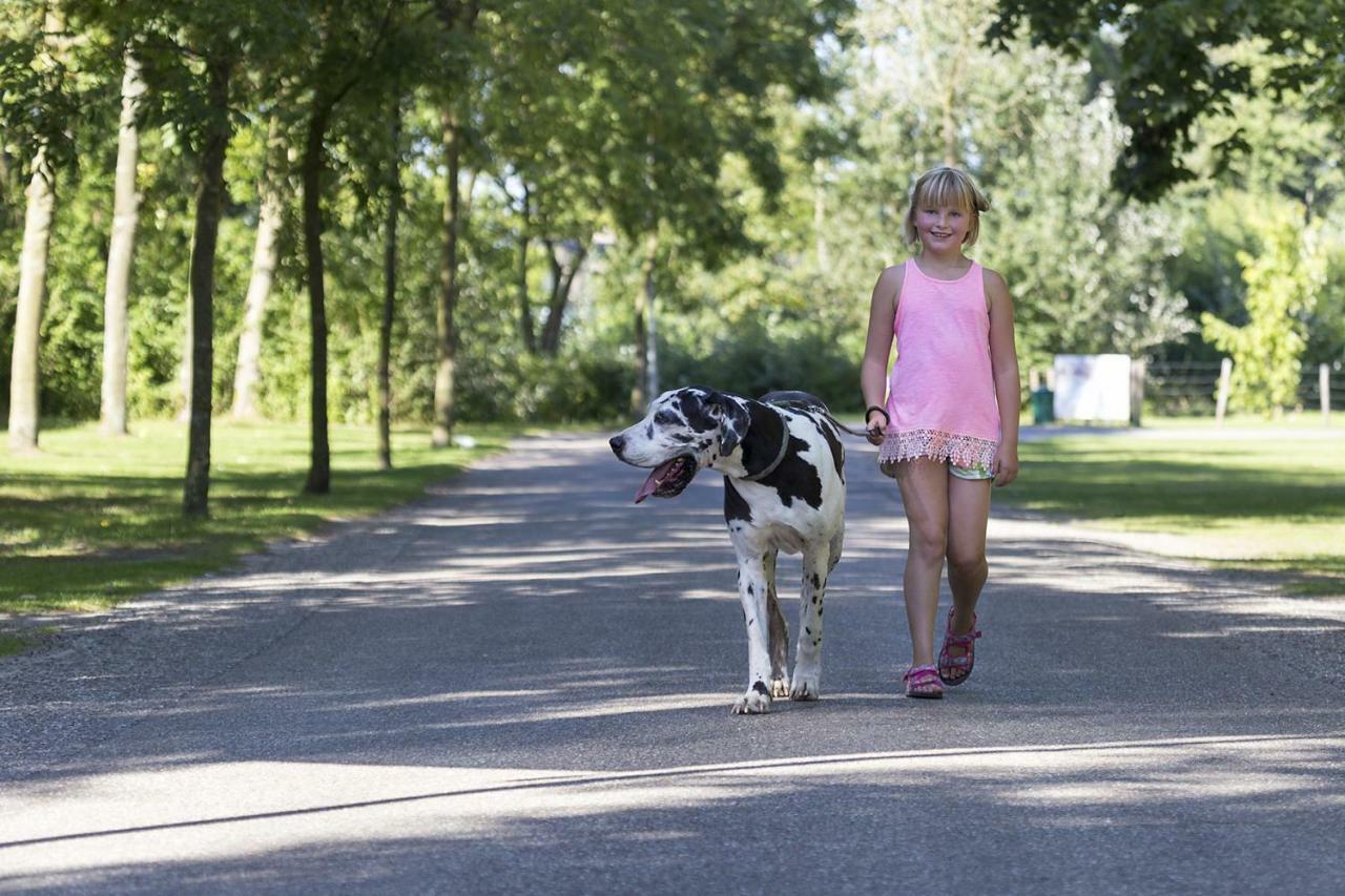 Mb Zeeuwse Mobile Home Hoek Экстерьер фото